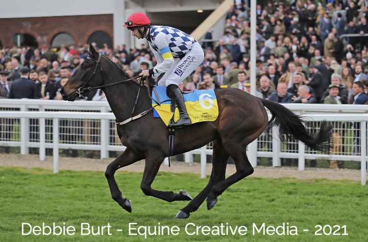 deborahburt1's tweet photo. STATTLER 🇮🇪 (Stowaway) #patrickmullins @WillieMullinsNH #winners 🇺🇦 🕊#ukraineappeal #nhchase @amajox @GoffsUK @IREthoroughbred 📸 for @InterThorough https://t.co/qLXTtoWUb7