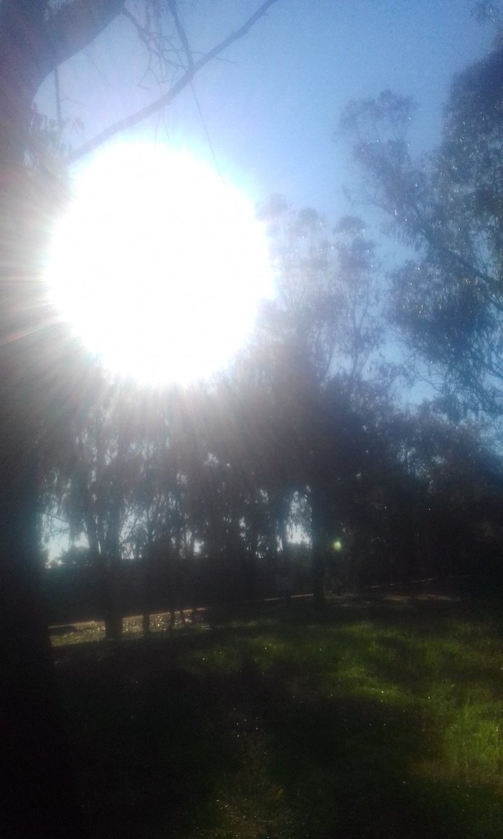 Is there any more truth than
this light....??
I don't think so..