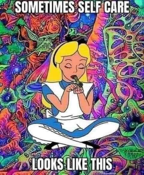 Chikababii's tweet photo. Pretty much 💚🌿🤩💨 https://t.co/dPmCtbrHvk