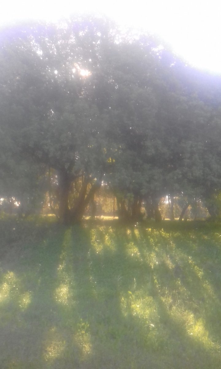 Green &amp; the light