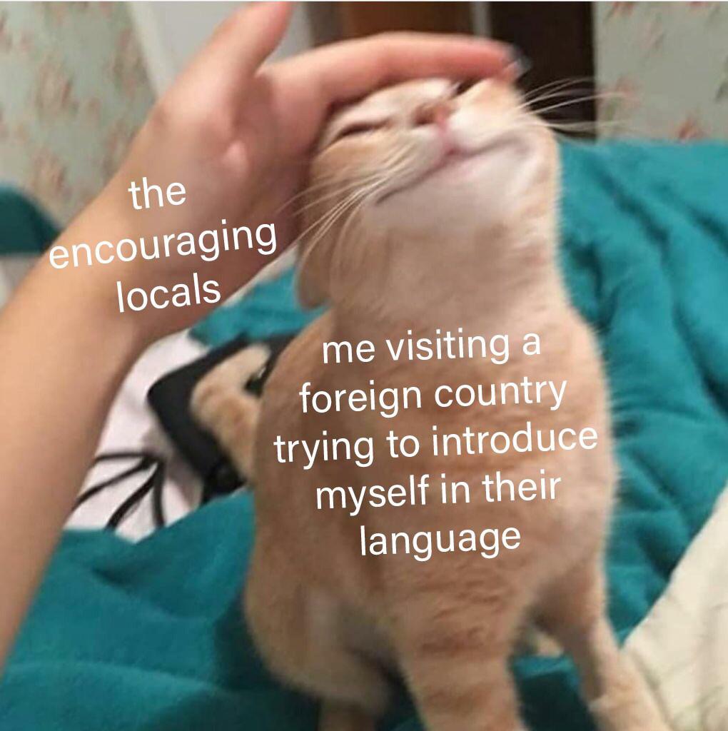 WholesomeMeme's tweet photo. https://t.co/VO3PlzhmYF