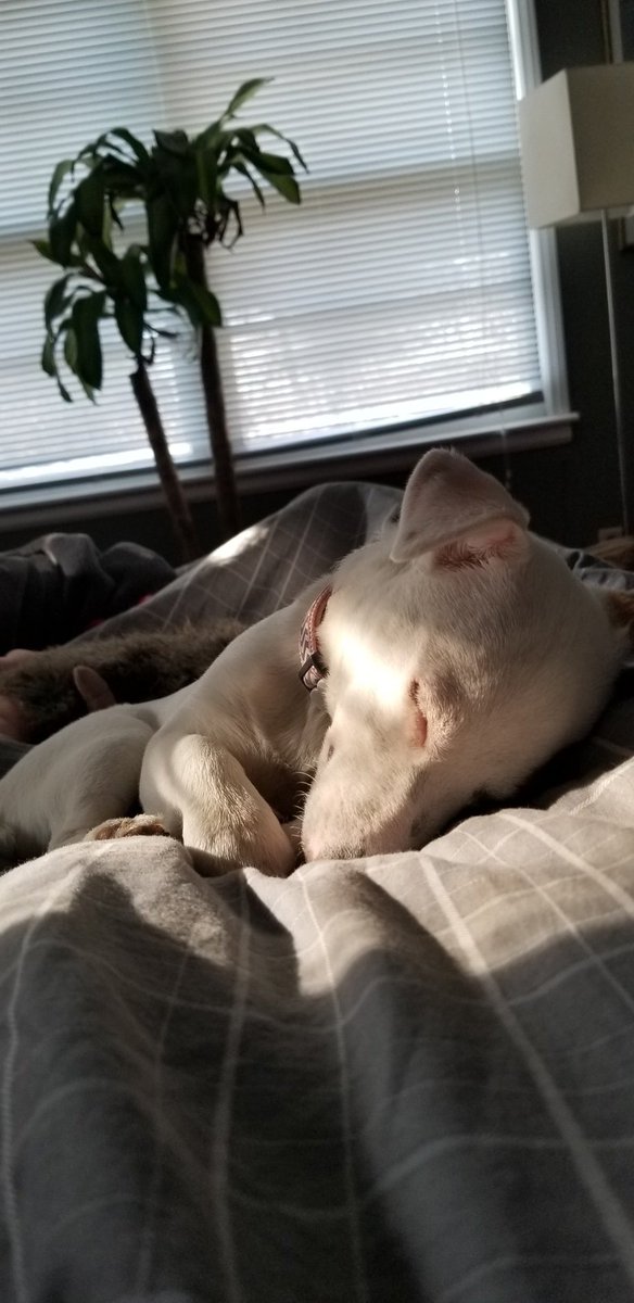 Vacation makes me sleepy.