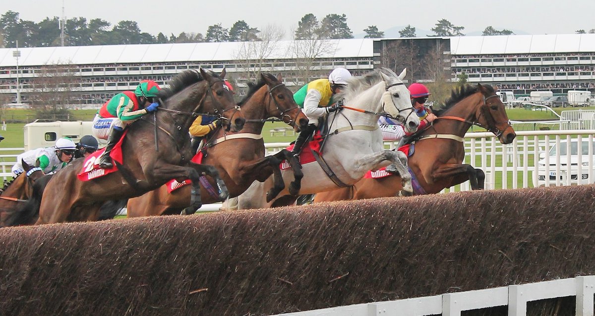 fivestripes's tweet photo. Like this one from the Ultima, four giant leaps! (l-r  Gericault Roque, Run To Milan, Vintage Clouds and Kiltealy Briggs) https://t.co/E6OvLDRfH2