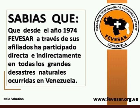 FEVESAR tweet media