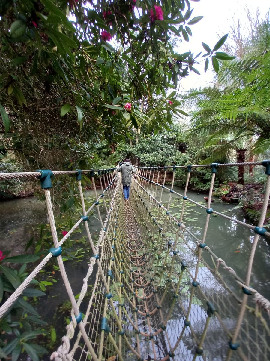 They must walk the bridge of the cosmic age.