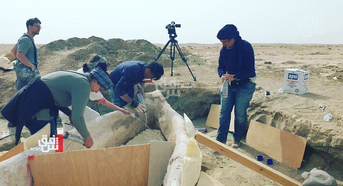 khwshnaw's tweet photo. The German mission that is excavating at the site of the city of Uruk (Al-Warka) found an archaeological boat in the ruins of the city that dates back to the yearly Sumerian dynasties (around 3000 to 2350 BC), and it is in very good condition. https://t.co/CUBWMIj754