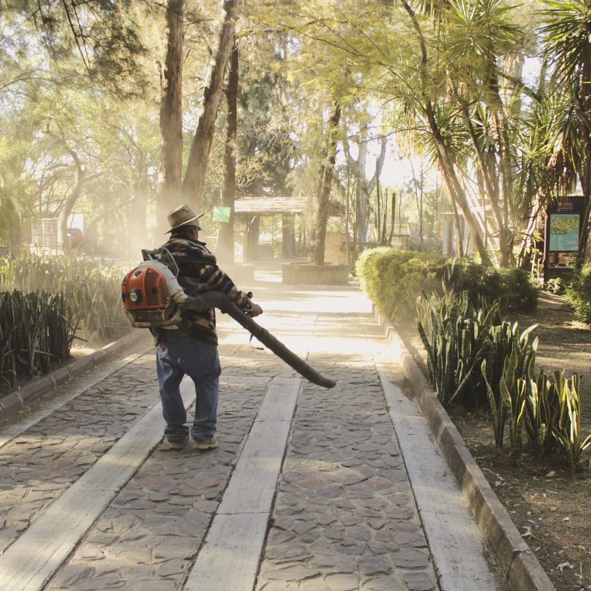 zooleon's tweet photo. La limpieza de las áreas de esparcimiento, así como las avenidas y calles principales del zooleón es una de nuestras prioridades para que disfrutes tu visita #ZooDiaDia https://t.co/pAd8ZxyFPv