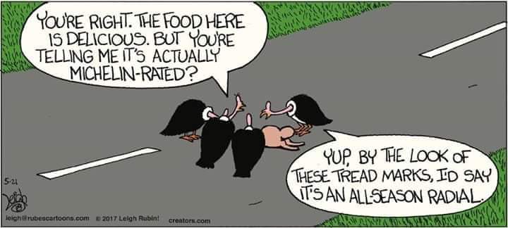 Happy #BuzzardDay !!