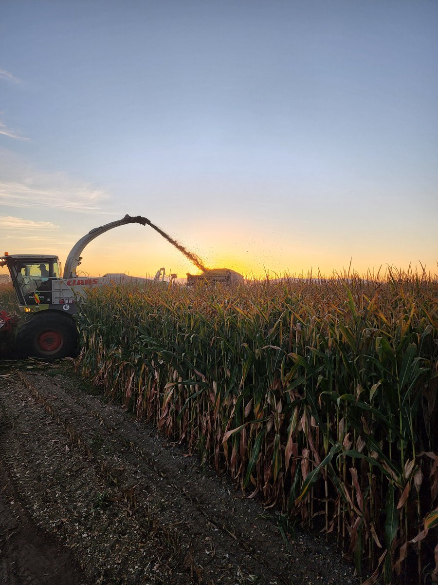 Yesterday's sun rise and sunset over the Waikato while flat out doing maize harvest , trying new phone no filters 
<a href="/WeatherWatchNZ/">WeatherWatch.co.nz</a> 
#maize#samsung #waikato#mothernature