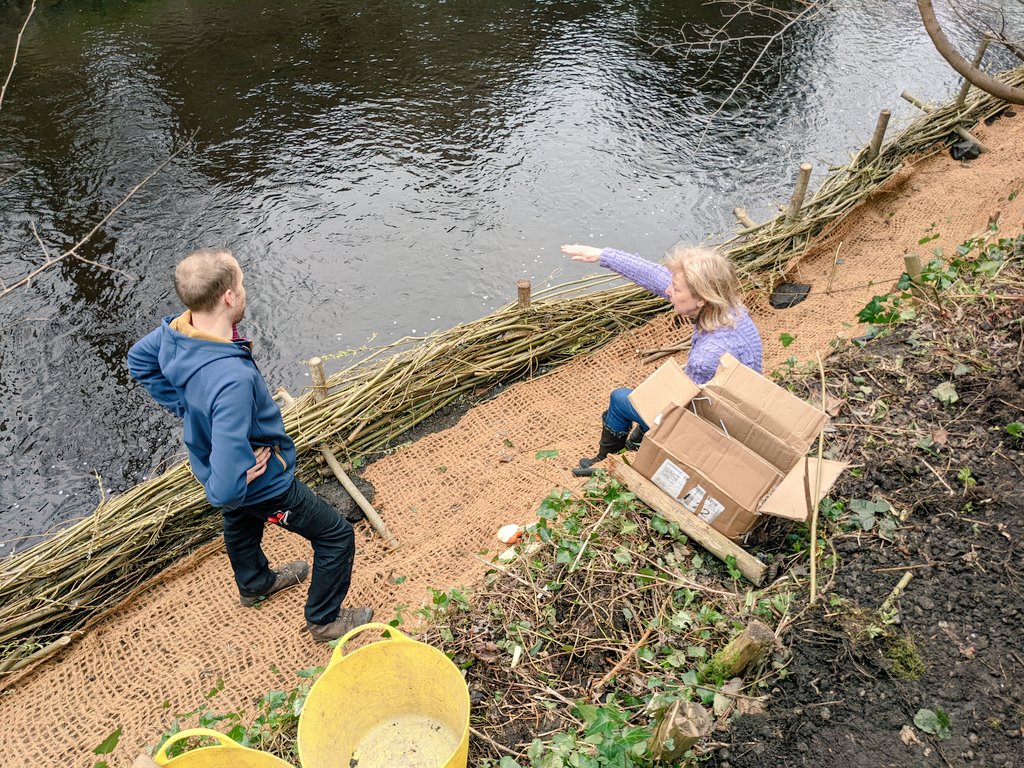 WOLCT's tweet photo. In 7 days, 17 people from @WOLCT &amp; @_EarthCalling_ have secure 25m of river bank with willow spiling.  A natural material erosion blanket was staked &amp; pinned into place today to finish the job. Thank you all that helped #traditionalskill #habitatcreation #greensolutions https://t.co/sSxU0PkuDU