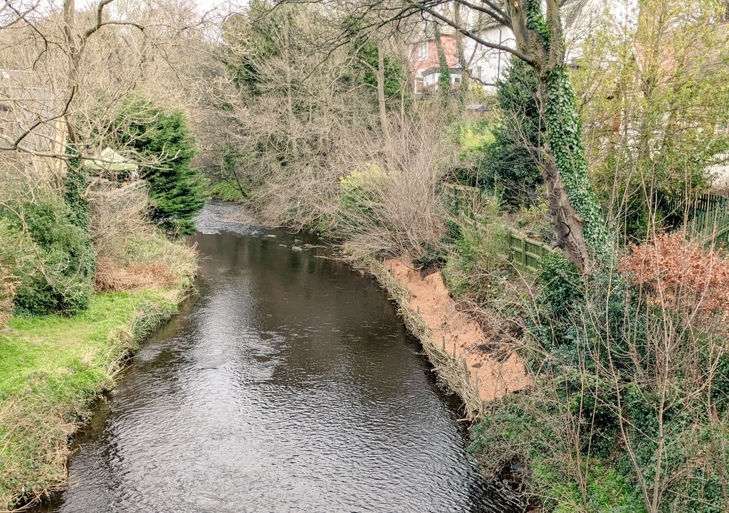 WOLCT's tweet photo. In 7 days, 17 people from @WOLCT &amp; @_EarthCalling_ have secure 25m of river bank with willow spiling.  A natural material erosion blanket was staked &amp; pinned into place today to finish the job. Thank you all that helped #traditionalskill #habitatcreation #greensolutions https://t.co/sSxU0PkuDU