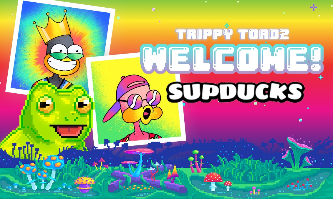 TRIPPY TOADZ (🍄,🐸) tweet media