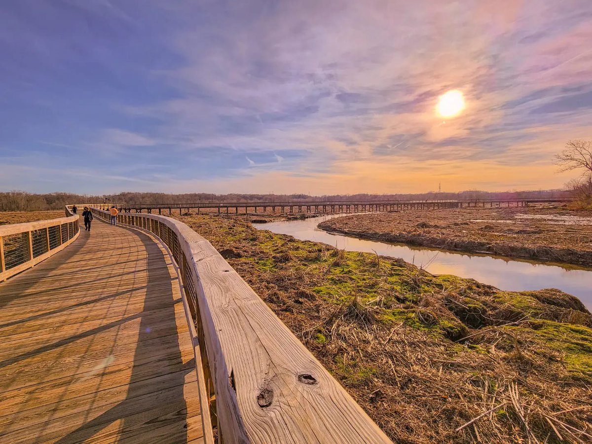 PWCParks's tweet photo. Walking on Sunshine ☀️
The weather this week is simply beautiful, step outside and enjoy the gorgeous days and the later sunsets.
Find a park or trail near you 👇
https://t.co/ByOQzSLqcT
📍 Neabsco Creek Boardwalk #33 under the Parks tab
.
📷: Lisa Dukeman #photography #Virginia https://t.co/30IFJ56Yf4