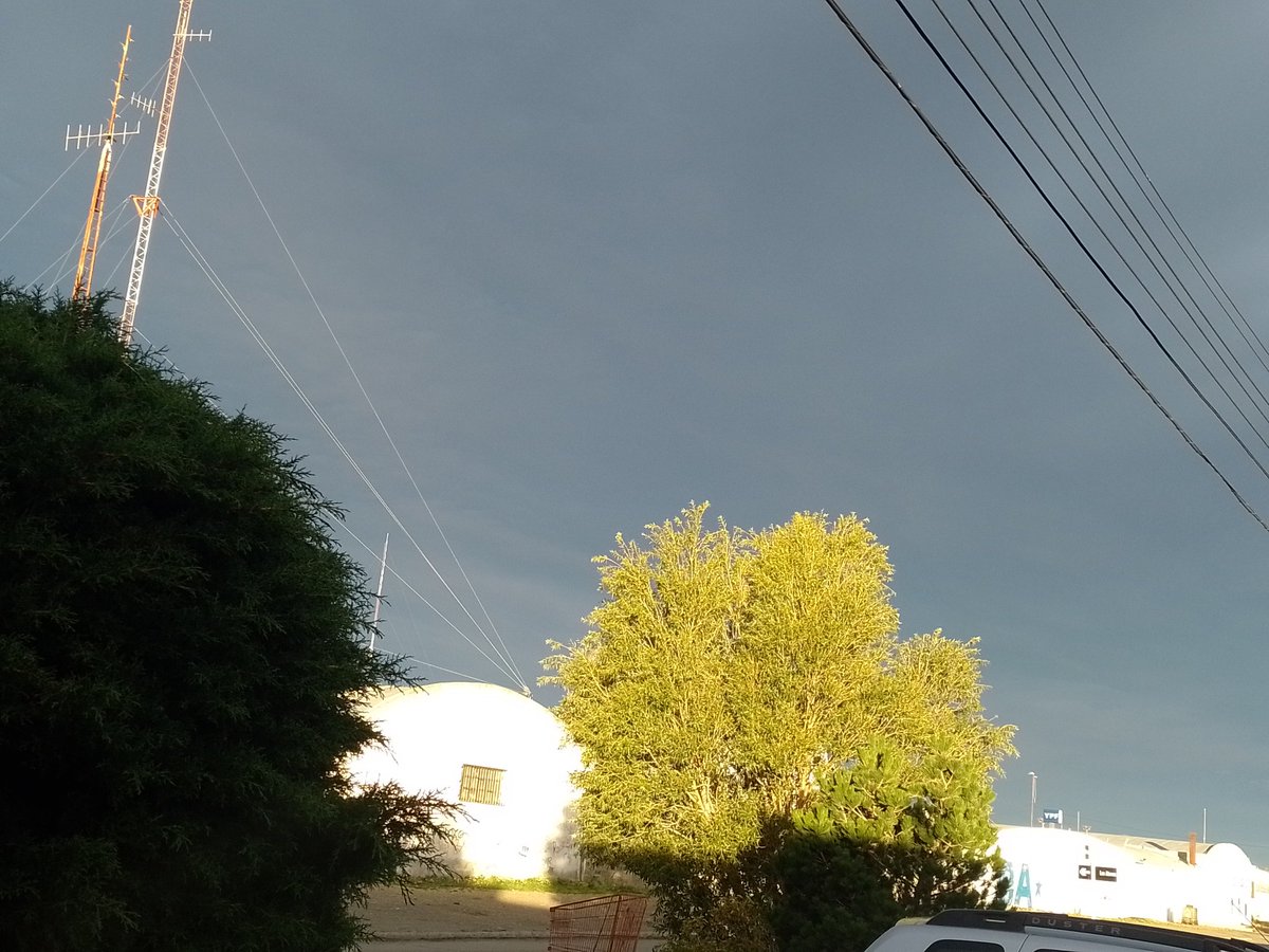 VIRGINIA HERRERA tweet media