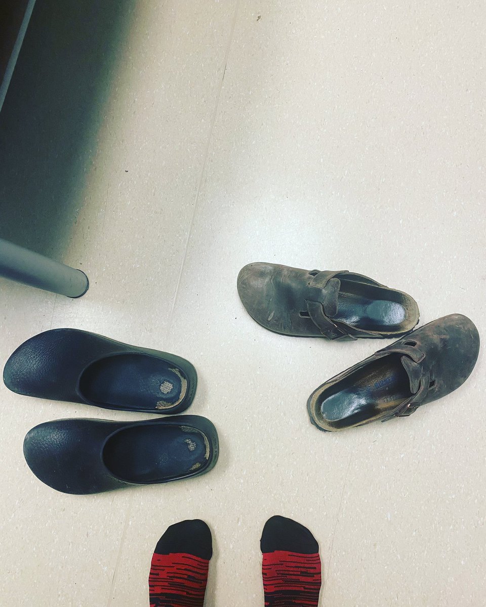 Vanessa Wiseman tweet media