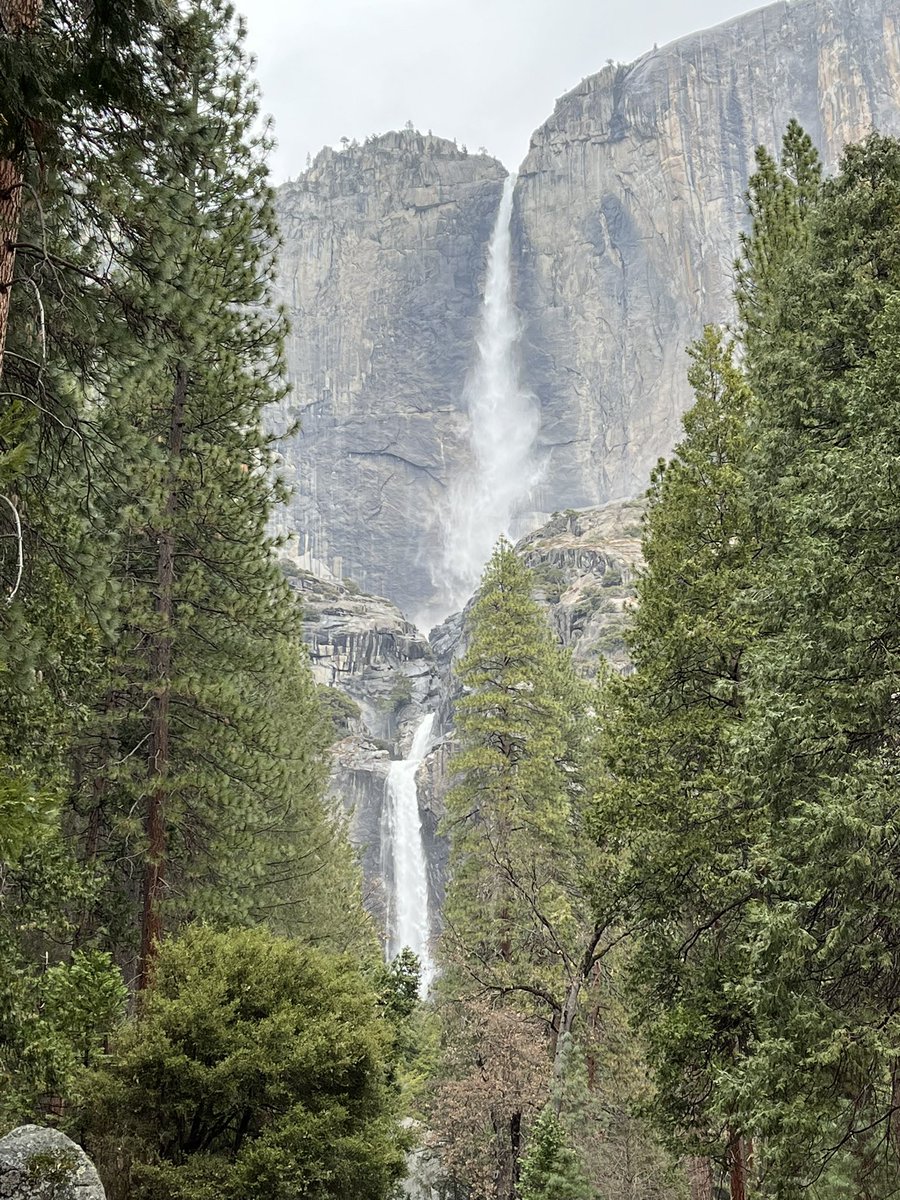 btsanglasd tweet media