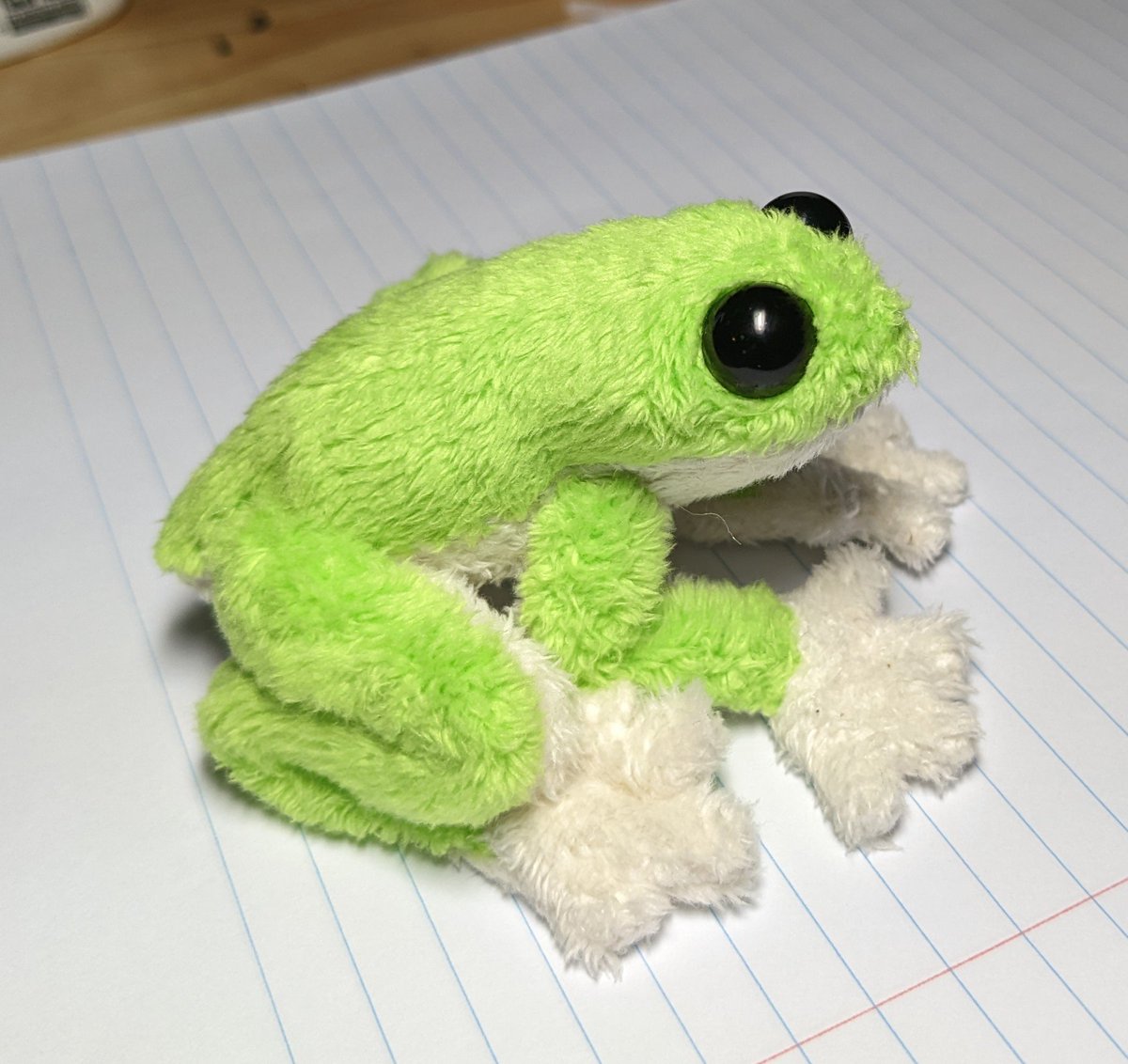 Lil_Sproutlings's tweet photo. Wip of a Morelet's tree frog I am working on, want to change some little details and airbrushing but a good prototype. https://t.co/snTunS4wgh