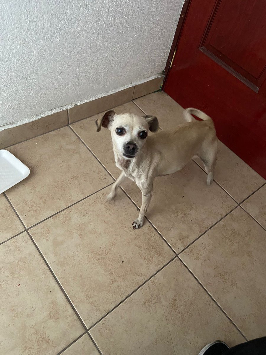 Coconita tweet media