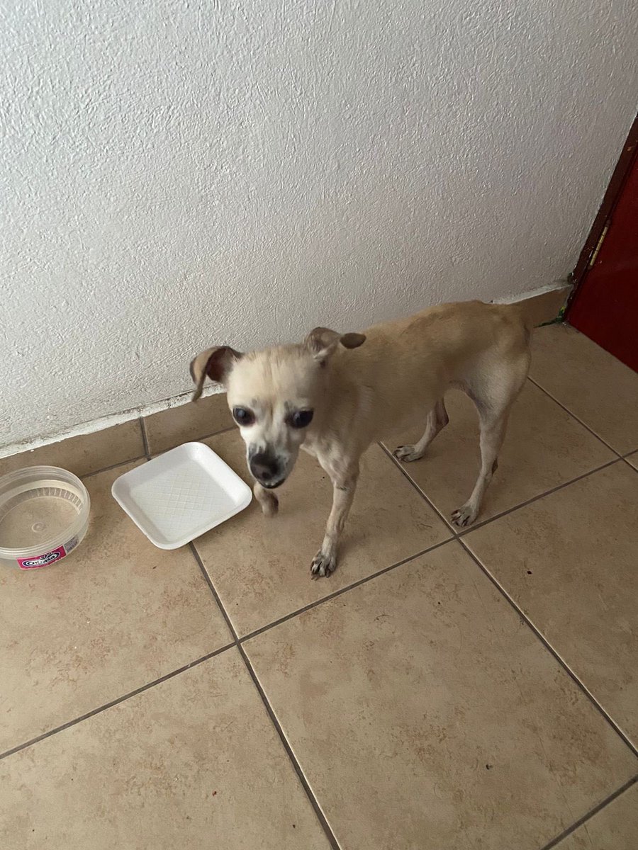 Coconita tweet media