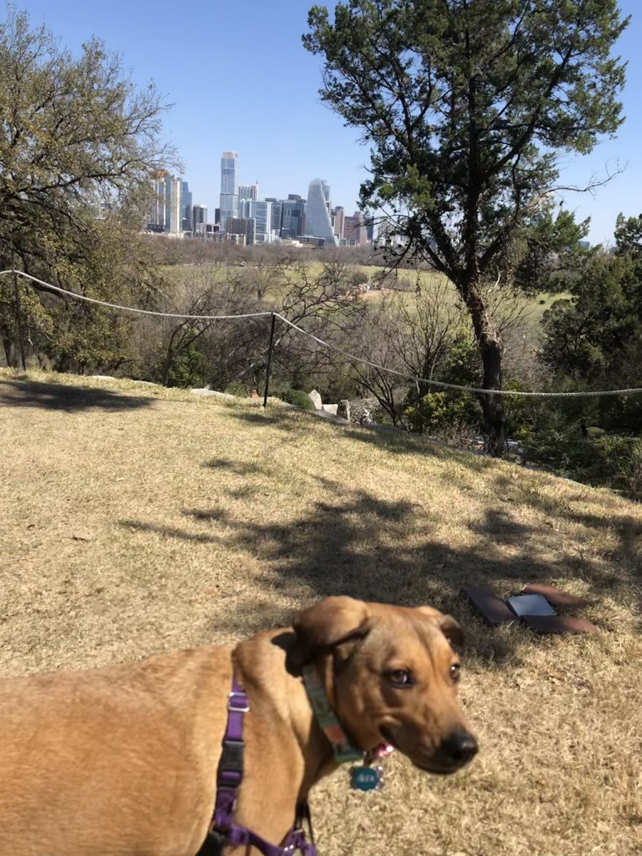 AdaleighonFox7's tweet photo. Alexandria and I had an excellent girl date at the Zilker Botanical Gardens 🌸 It was free admission day, and we are rain-free through the weekend! Have a wonderful week and enjoy the nice weather ❤️
#zilker #botanicalgardens #fox7 https://t.co/Qo7lf6ME4s