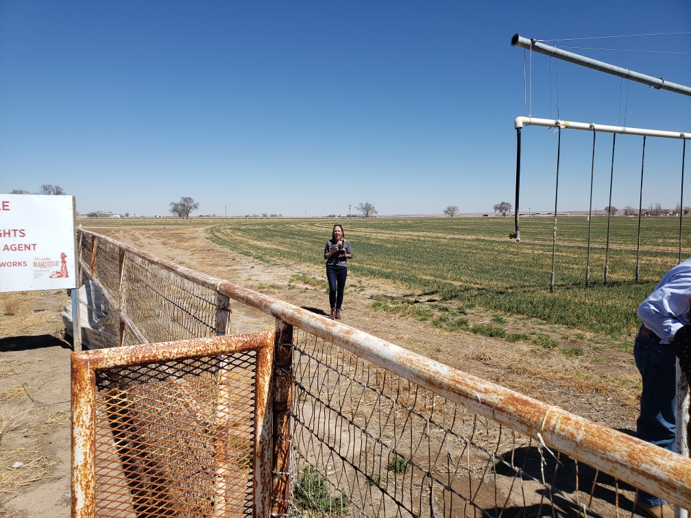 Wellntel's tweet photo. This week, Team @Wellntel is helping scientists to collect and share more #waterinformation in New Mexico. This is @StacyWags, leading the work and "out-standing in her field", according to photographer John Coyne. https://t.co/JoXZCzwYfm