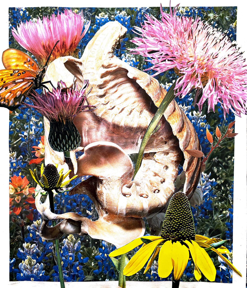 bygoecruz's tweet photo. Sneak peak of my next show :00 I’ve been having so much fun w collage. https://t.co/LoEpdjvDY5