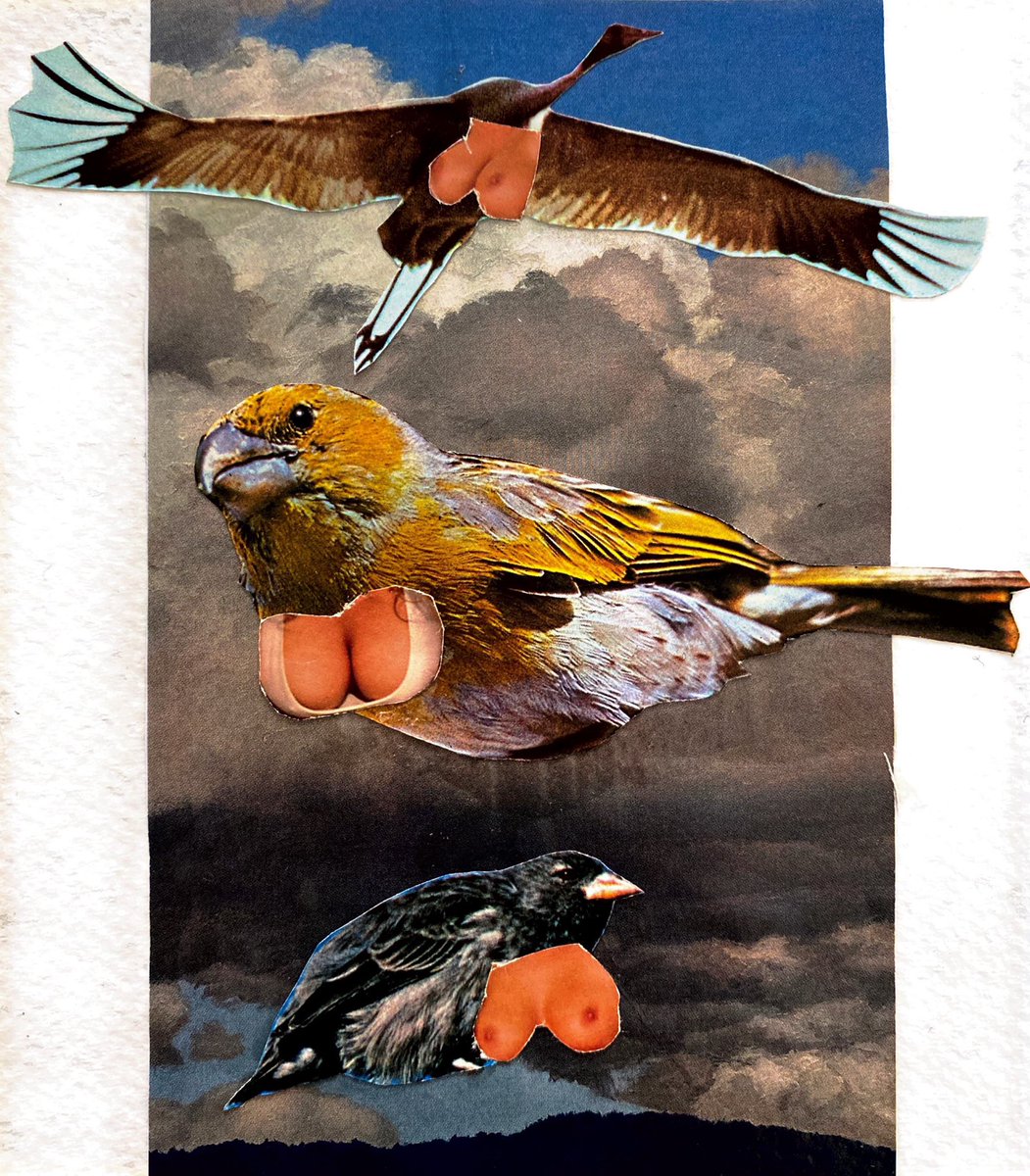 bygoecruz's tweet photo. Sneak peak of my next show :00 I’ve been having so much fun w collage. https://t.co/LoEpdjvDY5