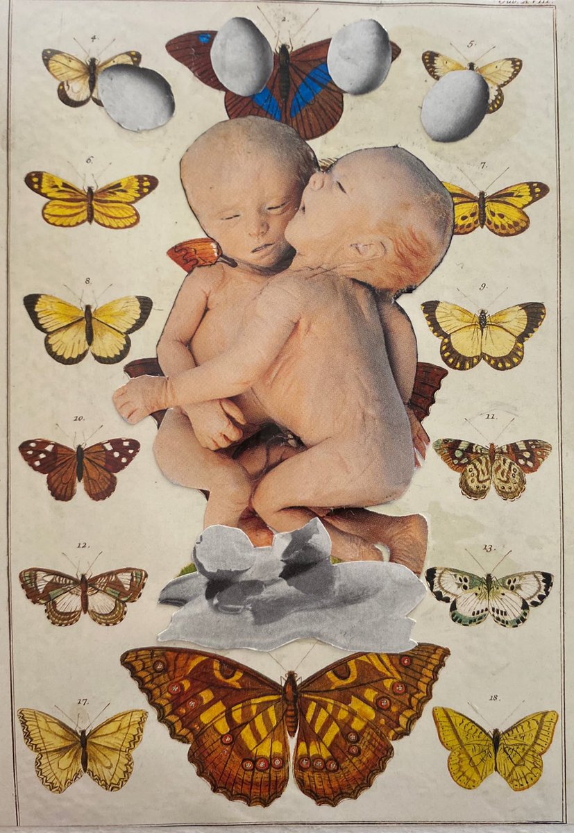 bygoecruz's tweet photo. Sneak peak of my next show :00 I’ve been having so much fun w collage. https://t.co/LoEpdjvDY5