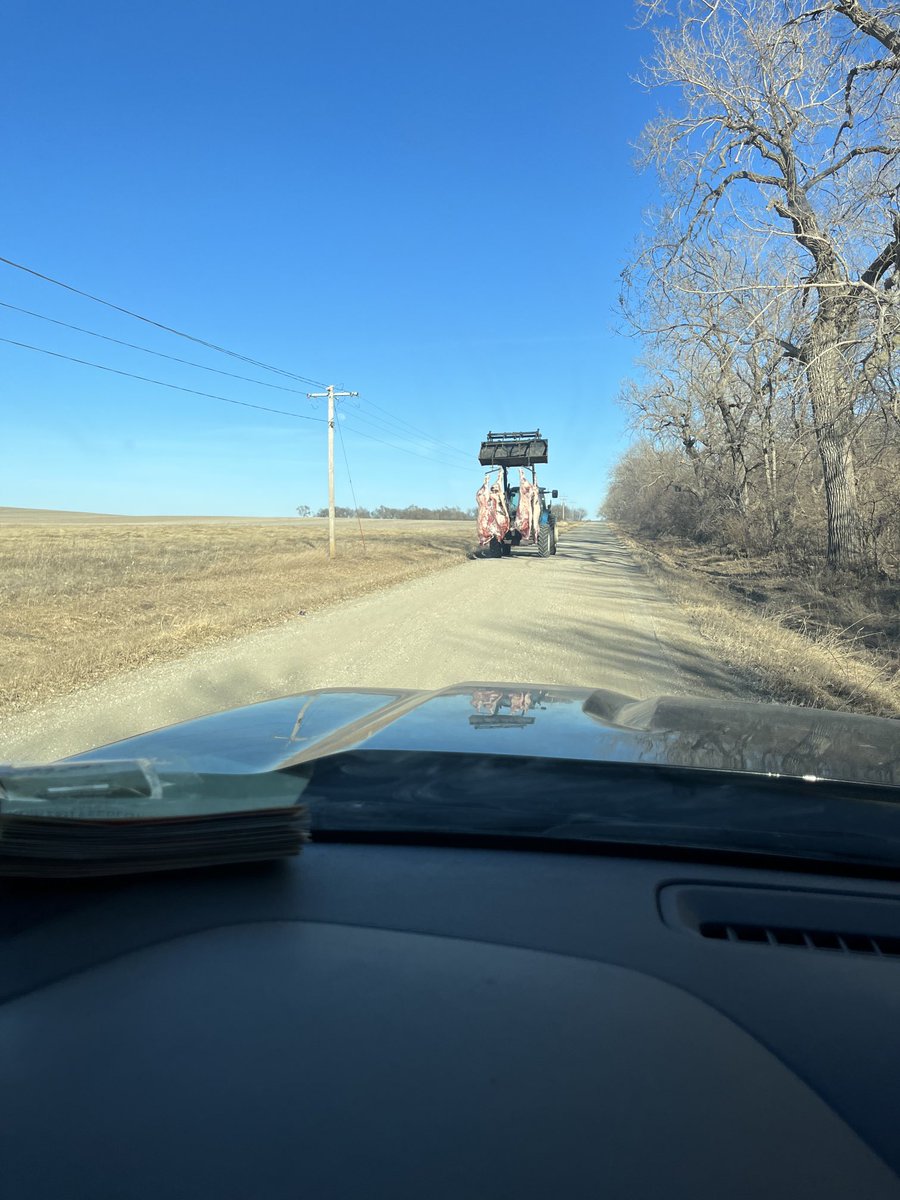 rkoinzan's tweet photo. File this under Things you don’t see everyday. https://t.co/Kcatfppt1G