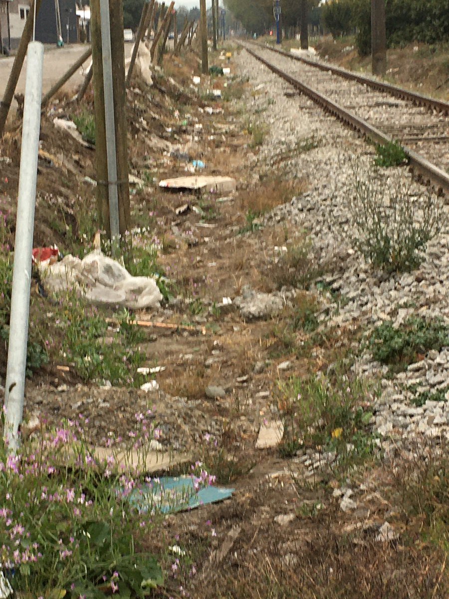 fatroncoso's tweet photo. En estas condiciones @EFE_Biotren mantiene las vías del tren a su cargo a 8 cuadras del centro de #Concepción. Me pregunto si en Santiago o Vitacura les importaría lo mismo. @dani_dresdner @rdiazwerner @biobio @elsurcl https://t.co/afrMoZf6IV