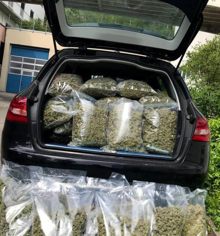 EldealMedicen's tweet photo. La "D" mayúscula letra que represento, tu crew minúsculo checando mi trayecto, la vida en riesgo y la fama está creciendo
Aunque ande de viaje la merca se está moviendo 🔥🤙🏽✅
Nuevo menú 🙏🌱
#UDB
#Proofer https://t.co/uXGdbJ0ioF