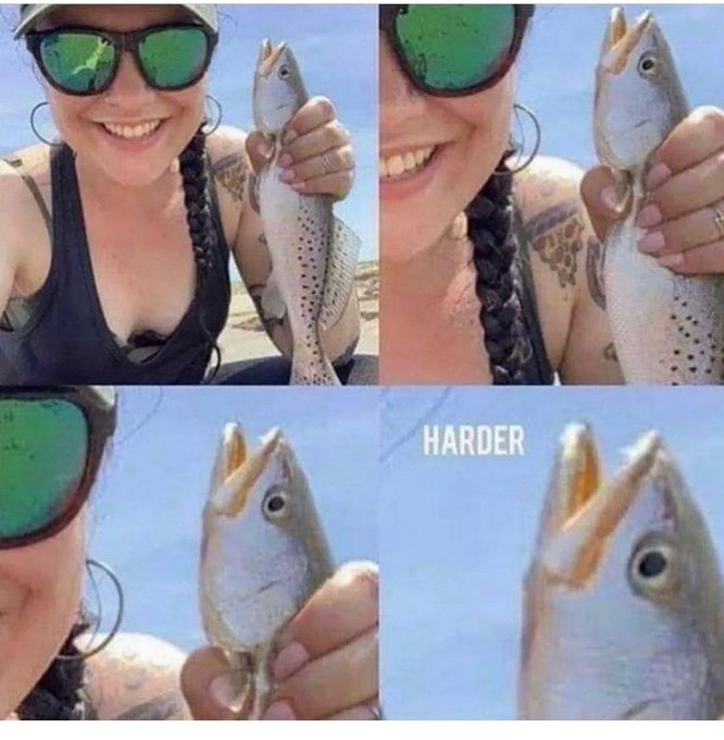 🐠 https://t.co/982FEwrnfA