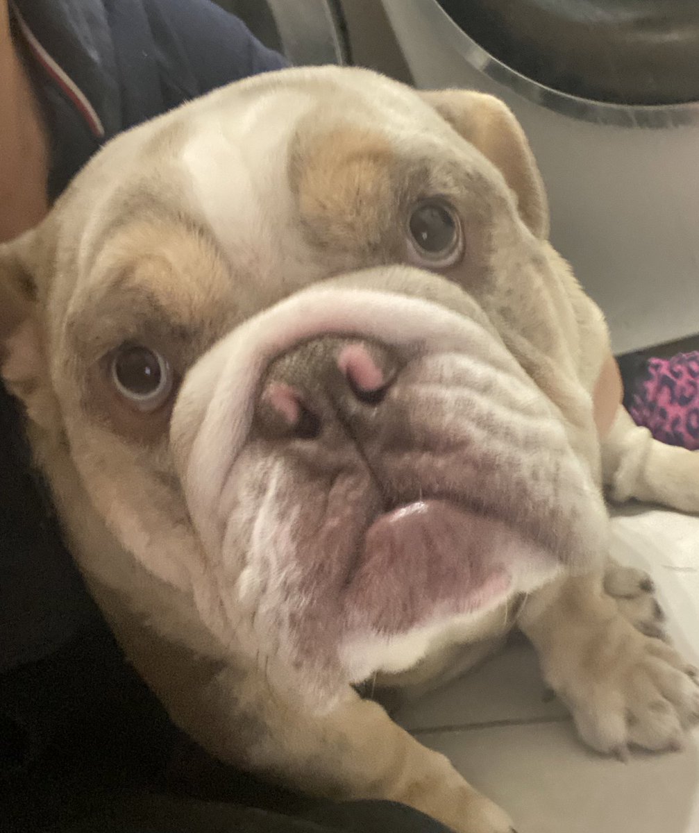 Cuddles with my Baby boy Rocco