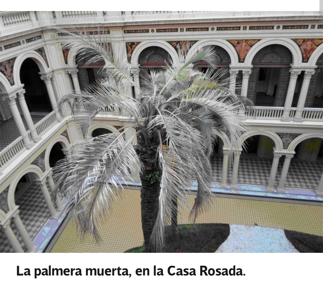 CaIabrese's tweet photo. @CanabalOsky @Silvana_L Todos morir https://t.co/5R474NWl9R