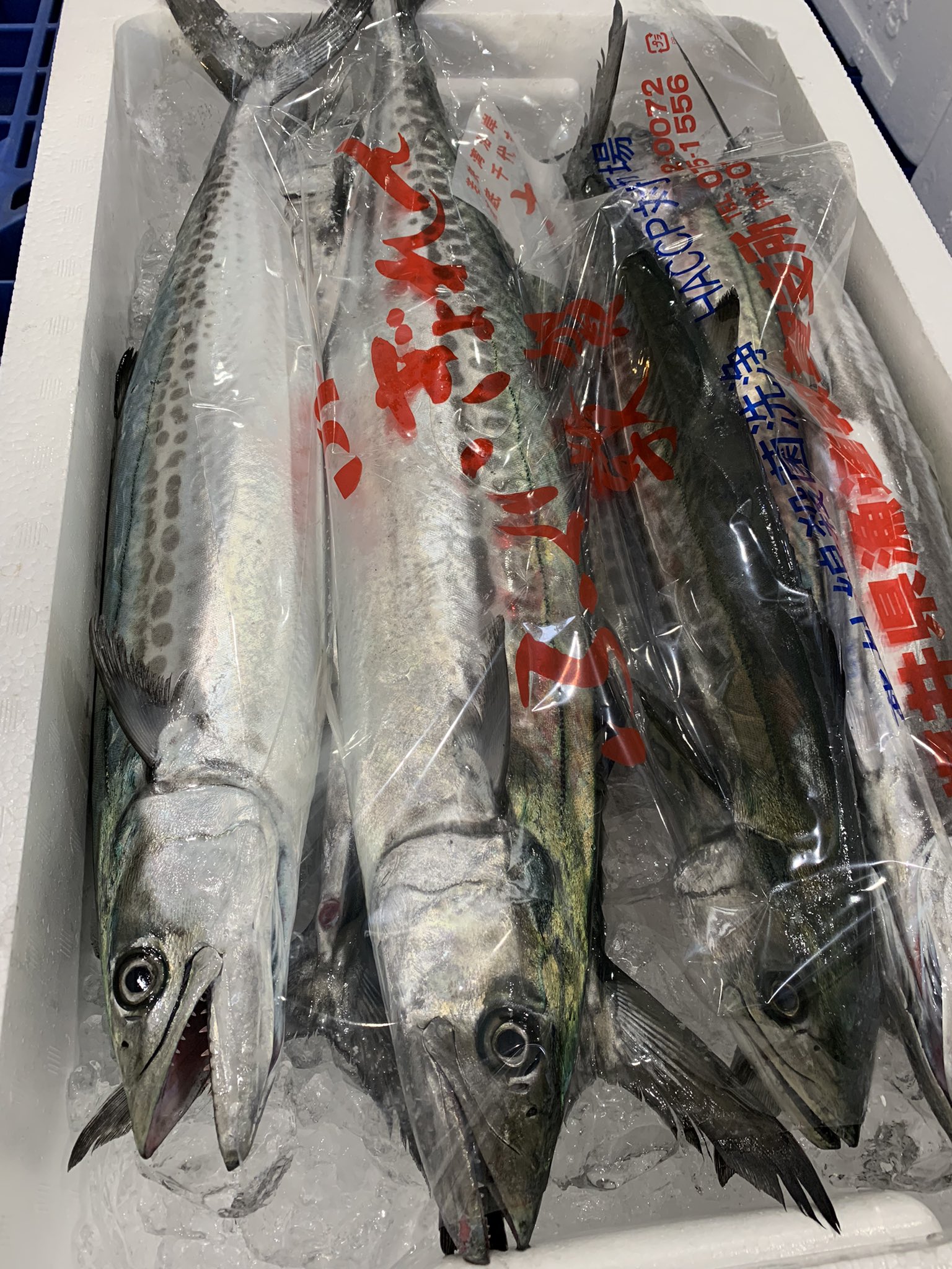 漁師のお店 Ryoushinoomise Twitter