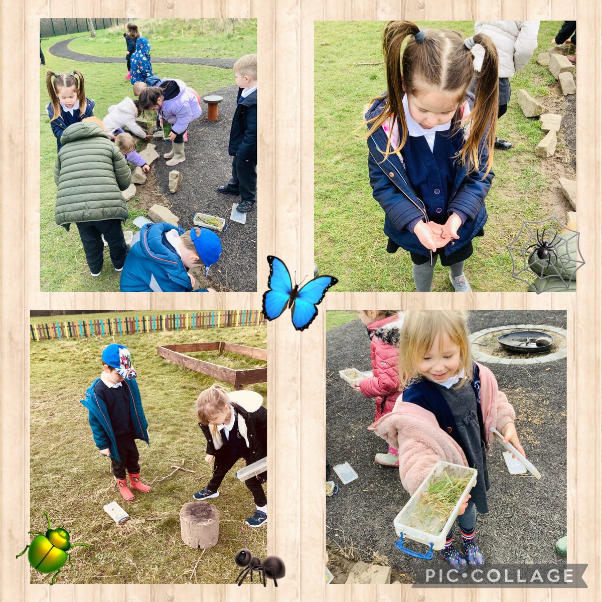 jones_smca's tweet photo. Mr Royle took Reception to forest school today for a bug hunt! We just love exploring and investigating (and finding creepy crawlies of course!) #nature #BritishScienceWeek #Makingmemories @BebbingtonMrs https://t.co/DSSSFUcVku