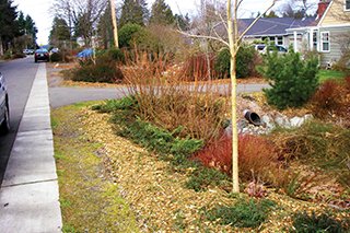 SeattleSPU's tweet photo. Project spotlight: the Pinehurst Green Grid is an A+ #GSI green infrastructure example, re-aligning the road to one side to add a sidewalk, making the neighborhood safer, and a large #bioswale that combines with the street's #storm drains to reduce #flooding. #ShapeOurWater https://t.co/MQvu9MDeTk