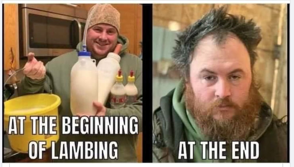 Farm Focus tweet media