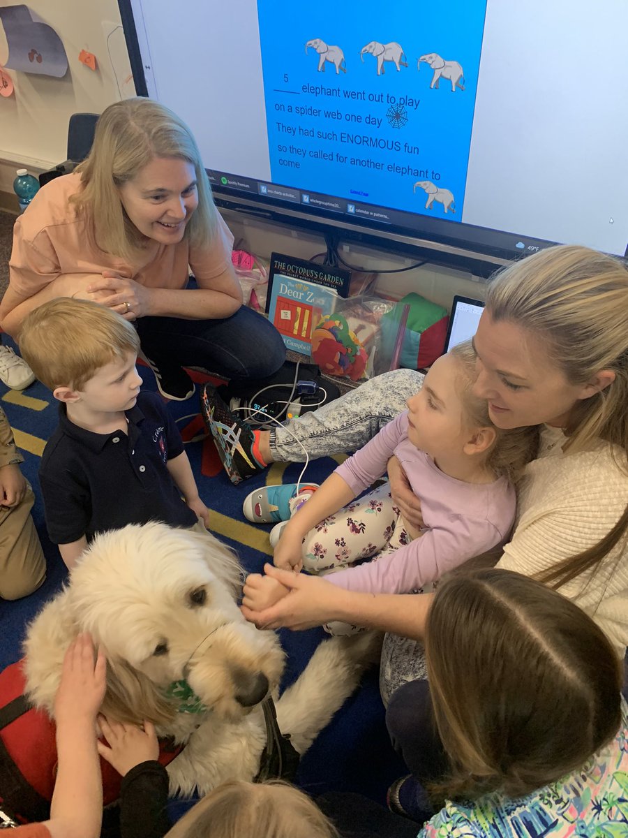 MECC_Counselor2's tweet photo. Gibson spent some time with our youngest Comets this morning. I think they loved it as much as he did! #MVP #MostValuablePups #GibsonSparkles #dogsofMason @schatzj9 @MrsBly_MECC https://t.co/Z3dqrVxMVh