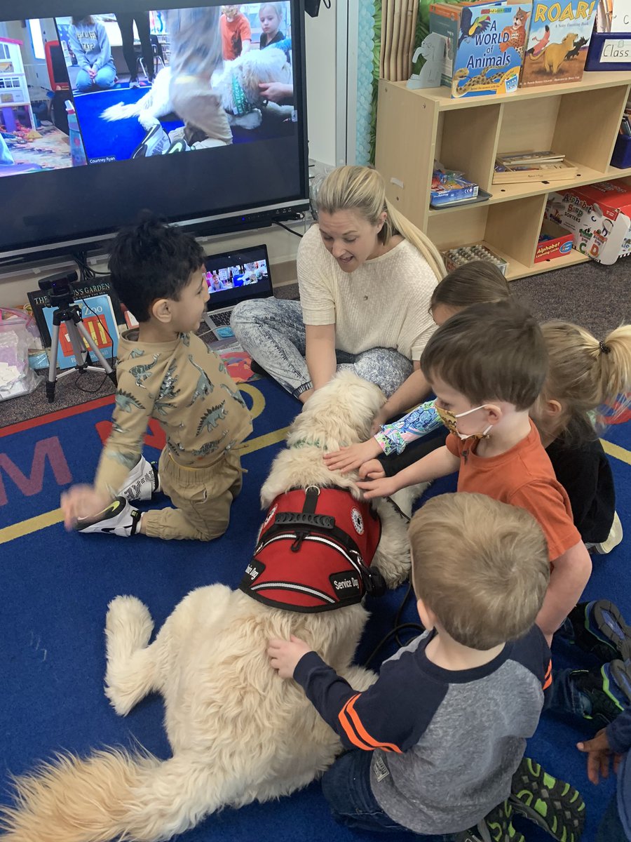 MECC_Counselor2's tweet photo. Gibson spent some time with our youngest Comets this morning. I think they loved it as much as he did! #MVP #MostValuablePups #GibsonSparkles #dogsofMason @schatzj9 @MrsBly_MECC https://t.co/Z3dqrVxMVh