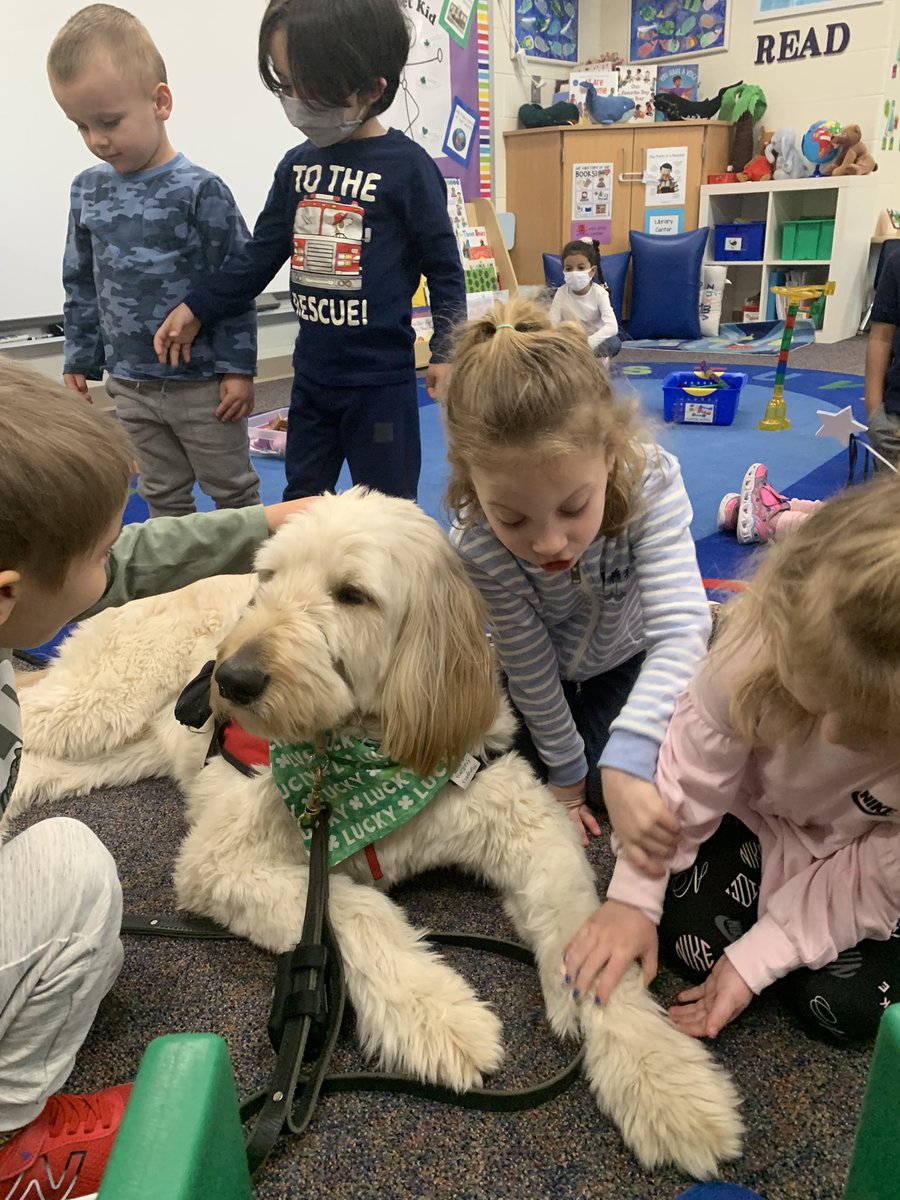 MECC_Counselor2's tweet photo. Gibson spent some time with our youngest Comets this morning. I think they loved it as much as he did! #MVP #MostValuablePups #GibsonSparkles #dogsofMason @schatzj9 @MrsBly_MECC https://t.co/Z3dqrVxMVh
