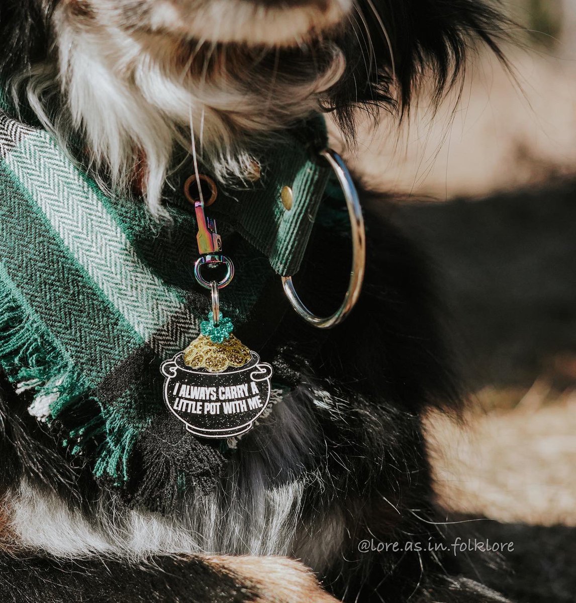 Lore | Chester | Juniper | Xavin tweet media