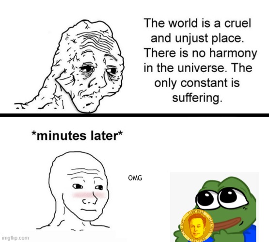 elonhero_com's tweet photo. Feeling down? The world has more to offer than you think. https://t.co/samRurysIB https://t.co/Zg9u64oAan