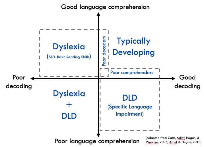 DLDinNB's tweet photo. @FIEdConsulting @ErinSchryer @GarforthEduc Do you screen for language as well as reading? 58% of those with Dyslexia also have DLD and 48% of those with DLD have Dyslexia (Snowling, et al 2019 https://t.co/kjfU6MlPQ5 ) As with reading disabilities, DLD impacts on all languages a person with DLD speaks. @RADLDcam 💜 https://t.co/kIBep1TTbZ