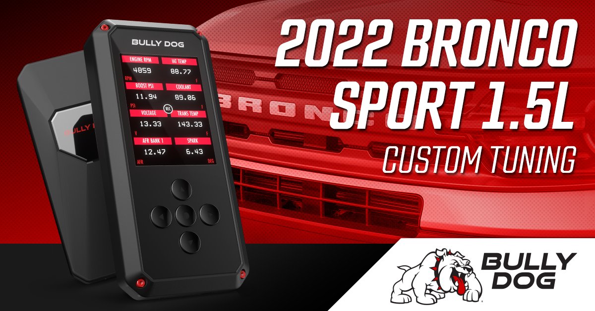 Bully Dog tweet media