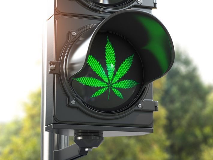 SanteNatRelax's tweet photo. Aucun texte de loi n’interdit la consommation du CBD avant de prendre le volant. Les effets relaxants du CBD peuvent néanmoins vous rendre moins vigilants et être source de danger.⠀
.
Repost @lafermeducbd
.
#cbd #lafermeducbd #chanvre #chanvrefrance #cannabis #fleursdecbd https://t.co/BaZHsUZ2Sl