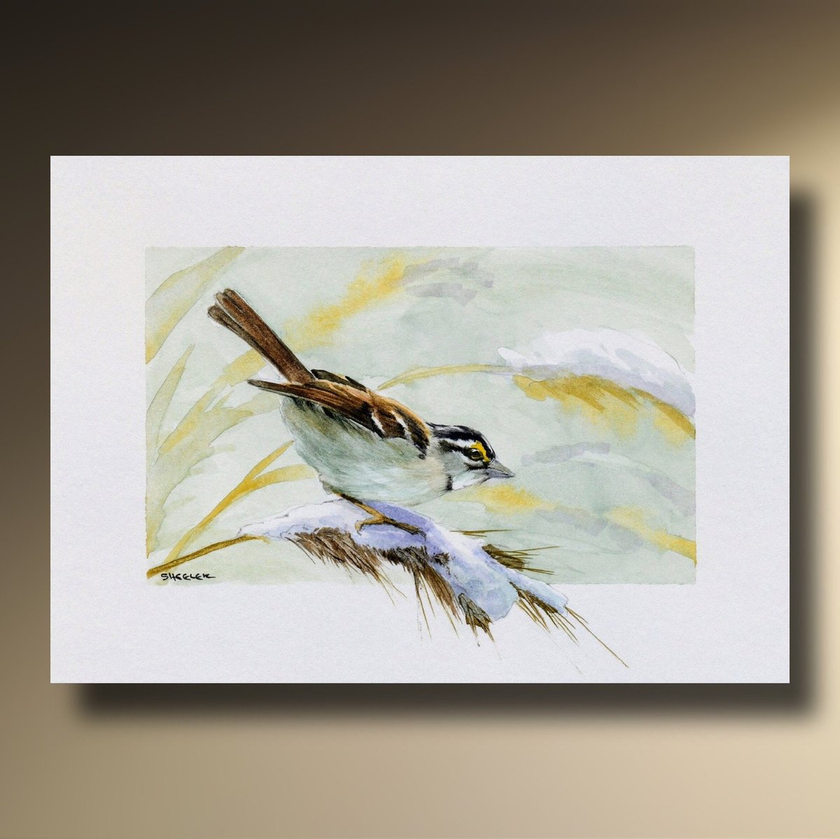 sheelerart's tweet photo. Sparrow on Snow, Watercolor Print and Art Greeting Card New on Etsy #Songbird #wildlife #natureart #birdart #sparrow #winter Sheelerart 

https://t.co/x7tJo7ek1M https://t.co/yBWB0XBP7G
