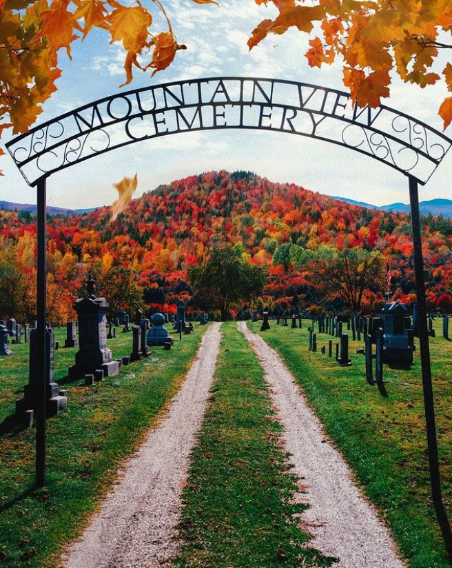 theme_day's tweet photo. Theme: Graveyard

Share a YouTube link to one of your favorite songs that includes the theme in the title. 

#DailyMusicTheme #Graveyard https://t.co/vPy4jJFzwk