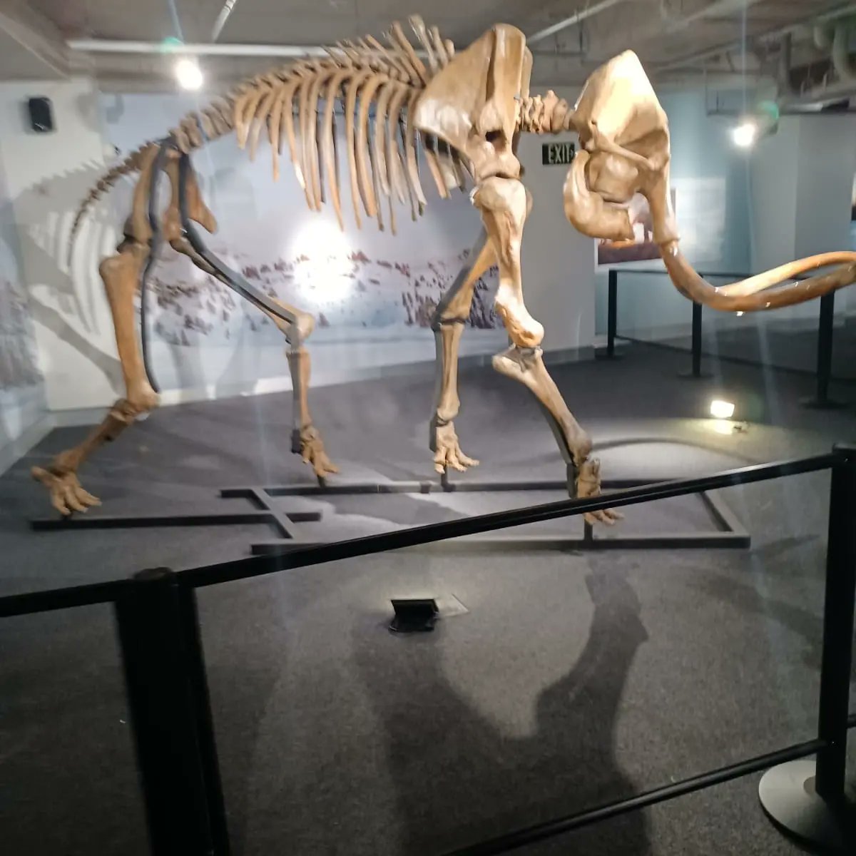 North_Miami_MS's tweet photo. About 150 students ventured out today and enjoyed a riveting day at the Frost Museum of Science! With the hands-on exhibits and interactive, cutting-edge technology, it was definitely an experience! #WeMakeScienceFun #highexpectations #acceleratingtowardsexcellence @MDCPSNorth https://t.co/z0u9d3jItq
