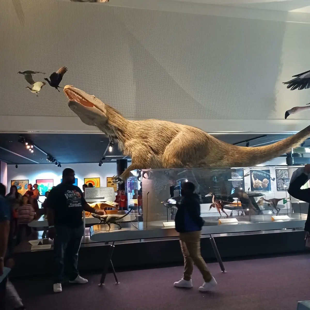 North_Miami_MS's tweet photo. About 150 students ventured out today and enjoyed a riveting day at the Frost Museum of Science! With the hands-on exhibits and interactive, cutting-edge technology, it was definitely an experience! #WeMakeScienceFun #highexpectations #acceleratingtowardsexcellence @MDCPSNorth https://t.co/z0u9d3jItq